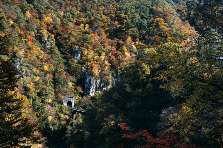 面對職場霸凌，公司該怎麼做？