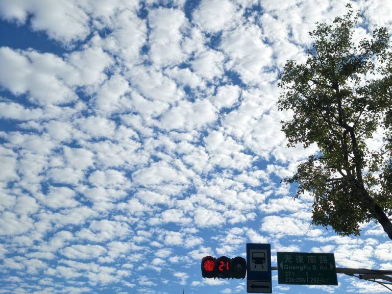 累積投票制vs全額連記制：論選任董事及監察人投票制度之演進