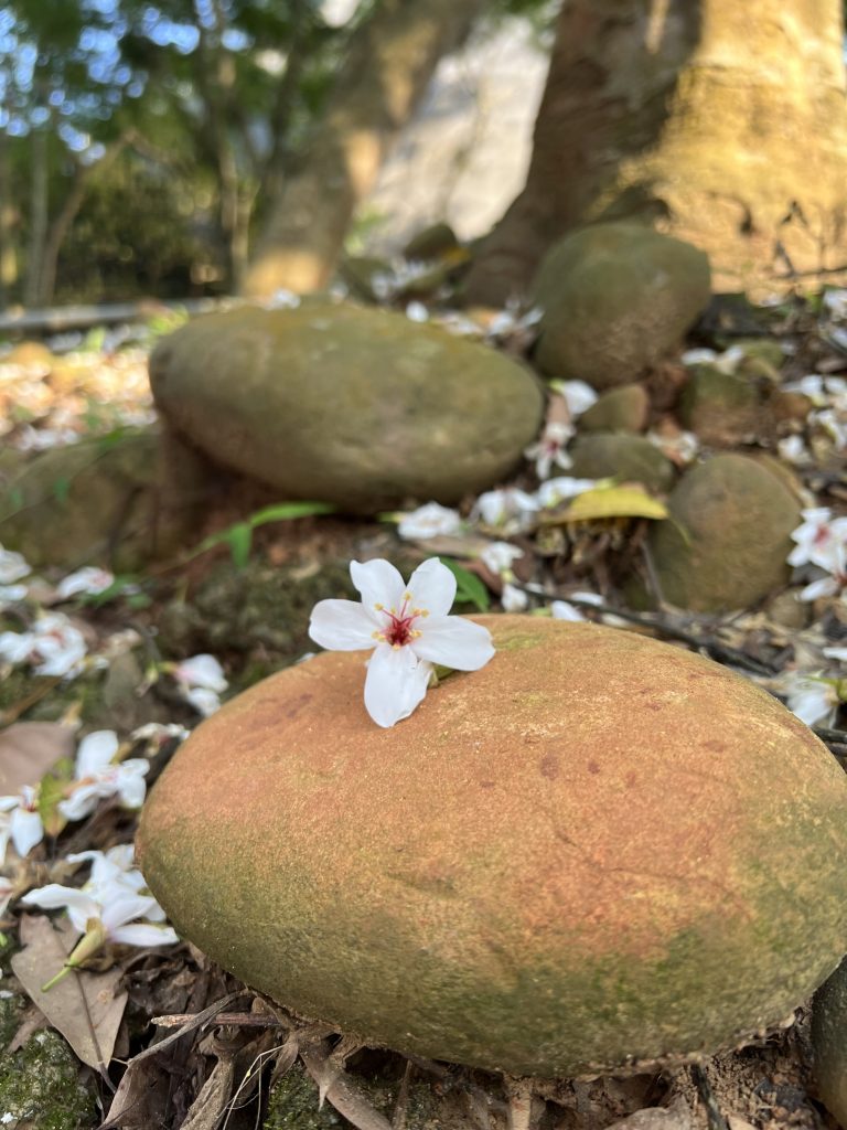 用AI生成的圖片有著作權嗎？